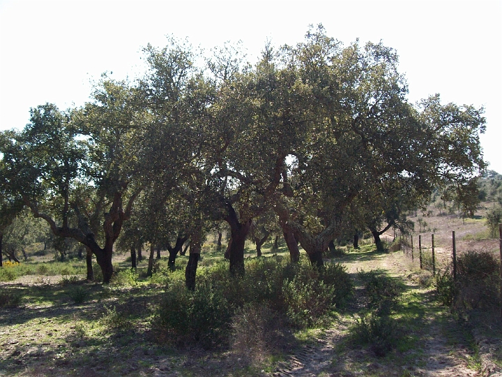 2009_portugal 216